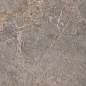 Miltonia Grey 60x120 Realistik