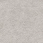 N40042 Basalt Stone Pearl Matt 60x120 Neodom