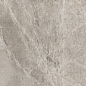 G397 Neiva Bronze MR 60x60 Гранитея