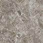 NR00386 Tasos Коричневый Матовый 60x60 ProGRES Ceramica