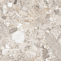 Venus Fossil Double Digital 60x120 Realistik
