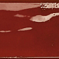 Rain Bordeaux 7.5x30 Prissmacer