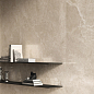 141142 Mythology Regia Silver Brushed Rect 60x120 Monocibec