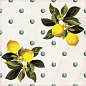 Giardino Bianco Mix Luc 20x20 Sant Agostino
