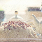 Marmol Cake Decor Beige 10x20 BELLAVISTA