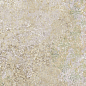 Bohemian Blend Natural 49,75х99,55 Aparici