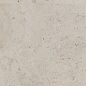 DD641120R Про Лаймстоун бежевый темный натуральный обрезной 60х60 Kerama Marazzi