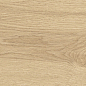 41726 Bloom Honey SP/24x151x0,9/R 24x151 Peronda