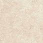 141133 Mythology Simbios Ivory Brushed Rect 60x120 Monocibec фото в миниатюре