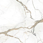 CB0H02M01 Calacatta Brown 600x600 ZERDE TILE