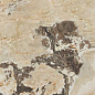 765468 Onyx&More Golden Blend Glossy 60x120 Casa Dolce Casa