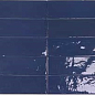 122101 Safi Cobalt 5,2х16 DNA Tiles