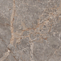 Miltonia Grey 60x120 Realistik