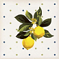 Giardino Bianco Mix Luc 20x20 Sant Agostino