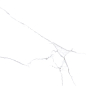Atlantic White i белый матовый 60x60 Laparet