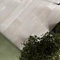 Spanish White Laparet