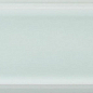 ADST1068 LISO FRAMED FERN 7.3x14.8 Adex
