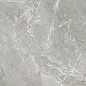 D60259M Wild Light матовый 600x600x9.5 New Trend