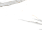 NTT99513M Maritaca Statuario Ultra White 60x120 NT Ceramic