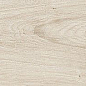 189003 Quercus Betulla 22x120 Dune