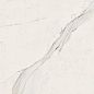 G67580 Statuario White Lux R 60x120 Versace (Gardenia Orchidea) фото в миниатюре 6
