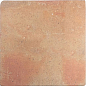 128198 ROOTS COTTO L 22x22 WOW