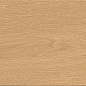 A8X6 Entice Pale Oak Natural R10 18,5x150 Atlas Concorde