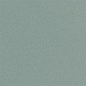 100CAVEP cx.10 PALE GREEN VEP 10x10 Winckelmans