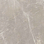 766528 Elemental Grey Dolomia Luc Ret 60x120 Cerim