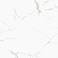 Zenith Carving 60x60 Colortile