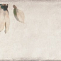 PT02551 Esenzia Fabola Green Mix 15x30 Mainzu