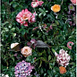 4100993 William 60x120 41ZERO42