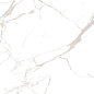 Noble Super White Satin Matt 120x60 Colortile