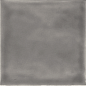 1515PLBAS PLUS BASALT 15X15 Cevica