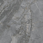 Fior Di Bosco Grey Starlight 120x60 Keraben