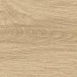 41726 Bloom Honey SP/24x151x0,9/R 24x151 Peronda