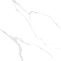 PT12J906 Snow Marble Carving 1200х600х9 Protiles