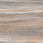 WT9ESR21 Esprit Wood 250*500*9 AltaCera