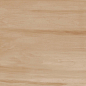 Paint Wood Bone Gloss 60x120 Realistik