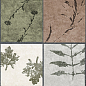 GT234VG Delia Мультиколор 30x60 Global Tile