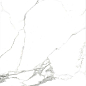 AB 1125G Statiario Titan gloss 600x600 Absolut Gres