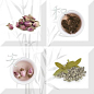 Decor (composicion) Set Aroma Fosker S/4 A 10x10 Absolut Keramika