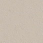 fTD1 True Color Wind Fossil Matt RT 50x120 FAP Ceramiche