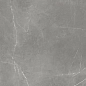 610015000657 Forte dei Marmi Elegant Grey Rett Cer 60x120 Atlas Concorde Russia