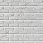 Декоративный кирпич Плоскость Лион 100 21x6,5x1,2 Leonardo Stone