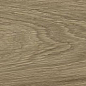 WD106 Branch Taupe 20x120 PrimaVera