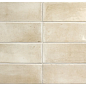 27985 Coco Canvas Glossy 5x15 EQUIPE
