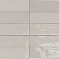 122106 Safi Nude 5,2х16 DNA Tiles