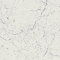 610015000550 Charme Extra Carrara Lux Ret 60x60 Italon