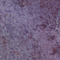 29015 Dyroy Aubergine 6.5x20 Peronda фото в миниатюре 6